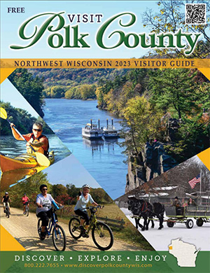 polk county video visit